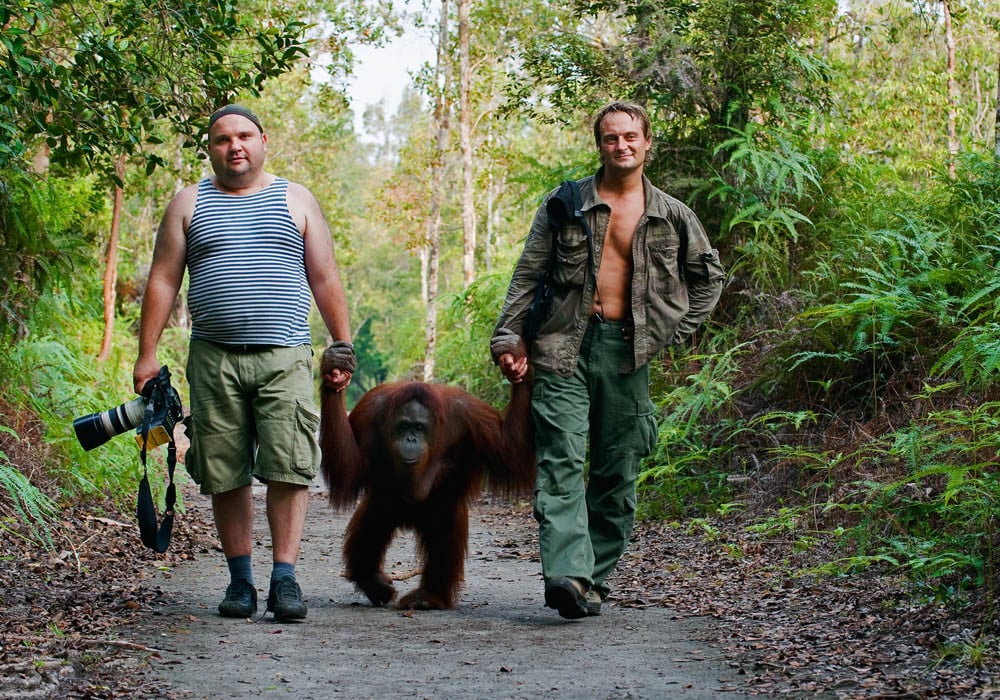 Photographers Andrey Gudkov and Sergey Uryadnikov walk with an orangutan.