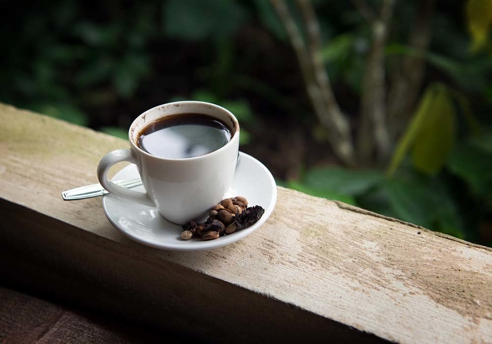 Cup of coffee kopi luwak in Indonesia