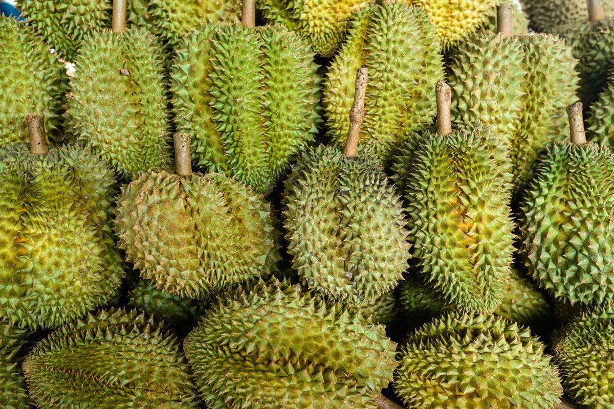 Durian, The King of Stink - Uncategorized () - June 2026 - Indoneo