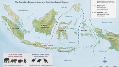 Crossing The Wallace Line - Southeast Asia (Southeast Asia) - August 2026 - Indoneo