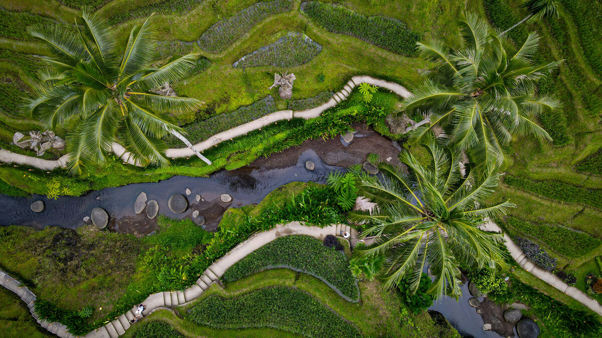 What is Subak? - Uncategorized () - July 2026 - Indoneo