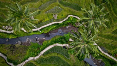 What is Subak? - Uncategorized () - June 2026 - Indoneo