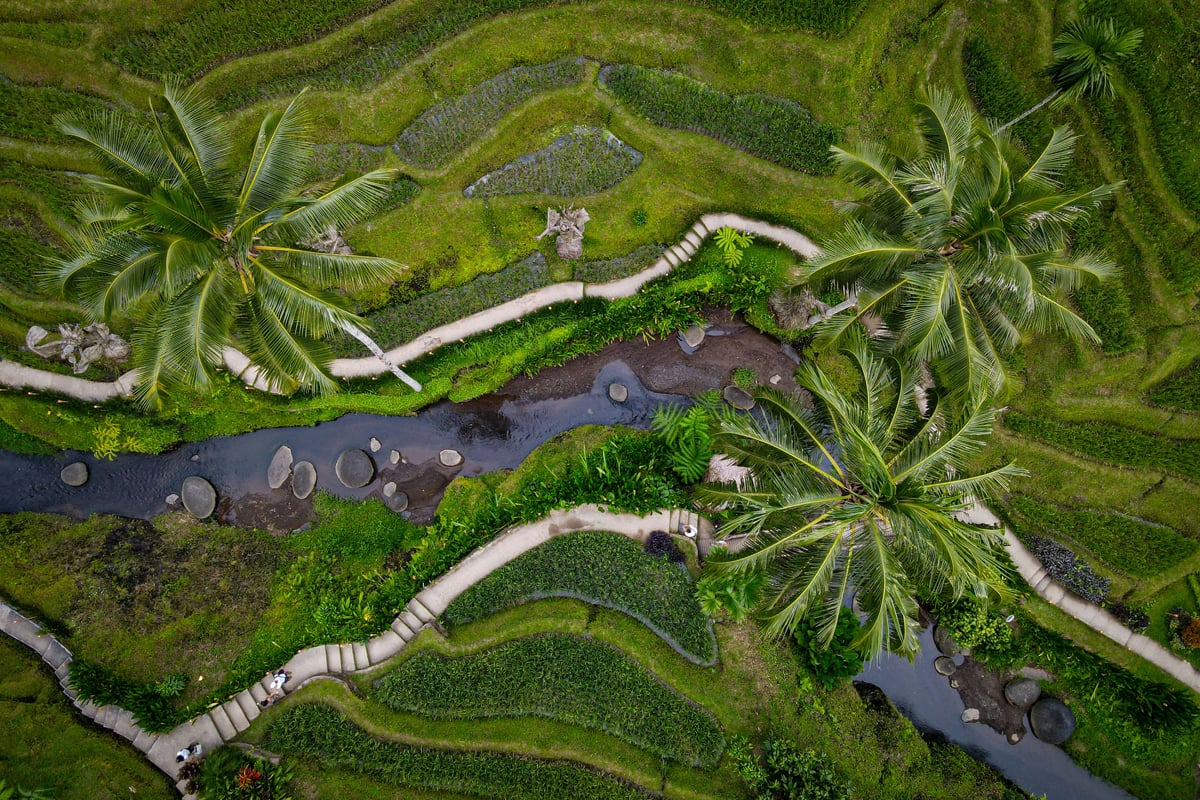 What is Subak? - Uncategorized () - June 2026 - Indoneo