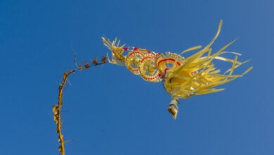What is Penjor? - Uncategorized () - May 2026 - Indoneo