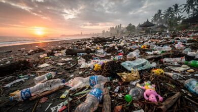 Plastic waste covering a beach in Bali, Indonesia during monsoon season