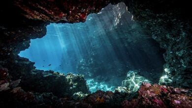 Underwater cave entrance in Vaavu Atoll, Maldives, with dramatic lighting