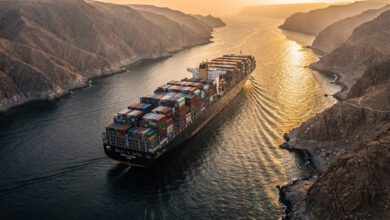 Container ship transiting Strait of Hormuz at dawn, narrow waterway between Iran and Oman