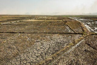 Drought-stricken farmland with cracked earth, Southeast Asia agricultural region