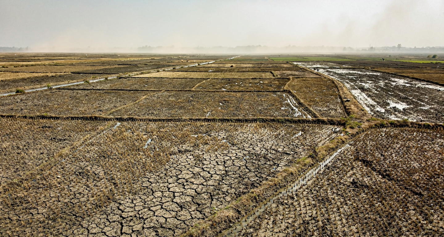 Drought-stricken farmland with cracked earth, Southeast Asia agricultural region