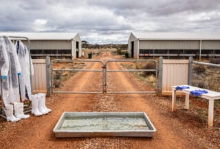 Poultry farm biosecurity checkpoint with disinfection equipment, Western Australia