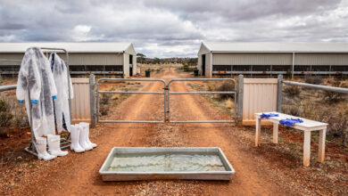Poultry farm biosecurity checkpoint with disinfection equipment, Western Australia