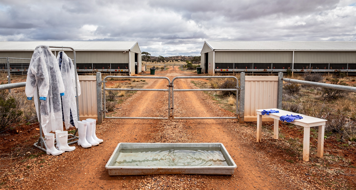 Poultry farm biosecurity checkpoint with disinfection equipment, Western Australia