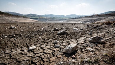 Dried reservoir bed with cracked earth, South Gyeongsang Province, South Korea