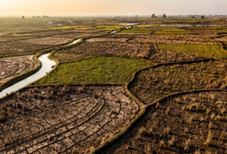 Drought-stressed rice paddies in Southeast Asia with cracked earth and sparse vegetation