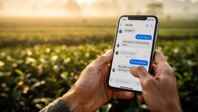Vietnamese farmer using Gemini AI on smartphone in rural Lao Cai province