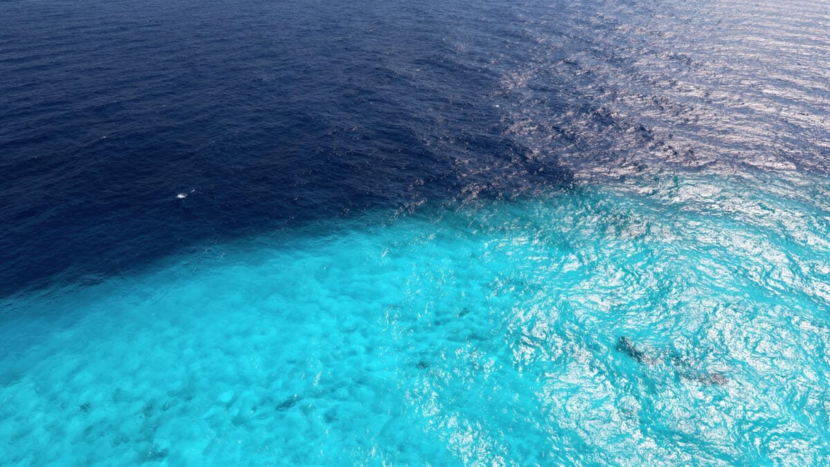 Aerial view of equatorial Pacific ocean showing temperature gradient and thermal contrast