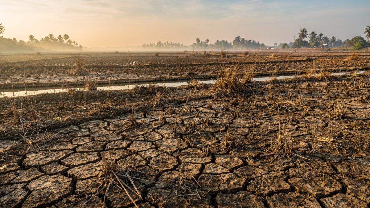 Cracked earth in dry rice paddies, Mekong Delta, Southeast Asia, drought conditions