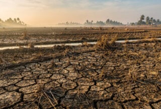 Cracked earth in dry rice paddies, Mekong Delta, Southeast Asia, drought conditions
