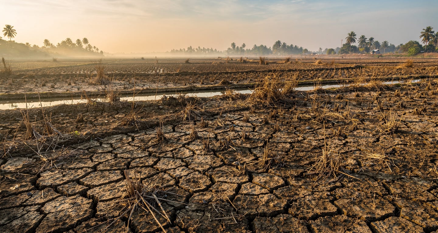 Cracked earth in dry rice paddies, Mekong Delta, Southeast Asia, drought conditions