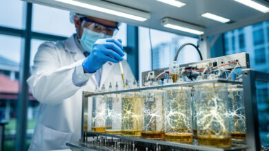 Lab technician pipetting nutrients into biological computer rack with glowing neural cultures, Singapore research facility