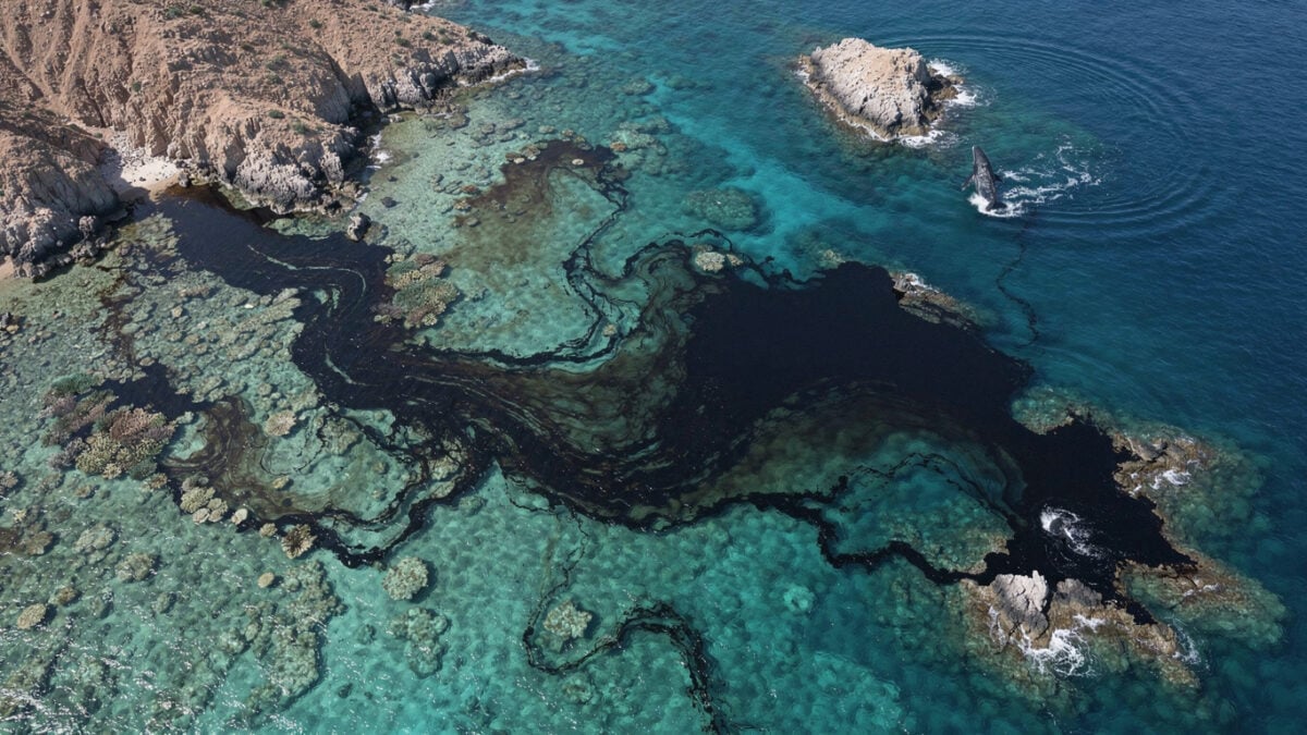 Oil slick spreading across Arabian Sea near Hallaniyat Islands, Oman, with whale visible at edge of contaminated waters