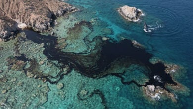 Oil slick spreading across Arabian Sea near Hallaniyat Islands, Oman, with whale visible at edge of contaminated waters