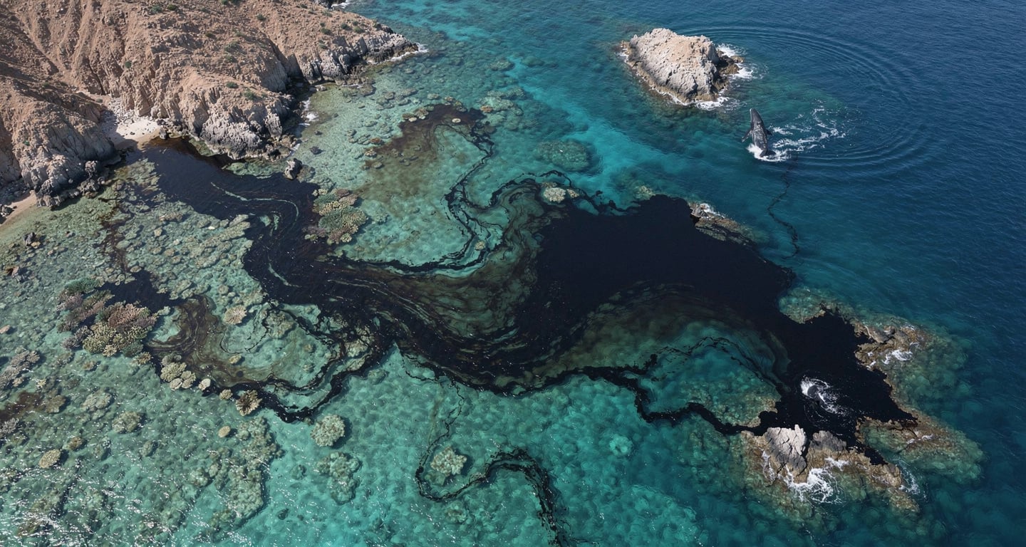 Oil slick spreading across Arabian Sea near Hallaniyat Islands, Oman, with whale visible at edge of contaminated waters