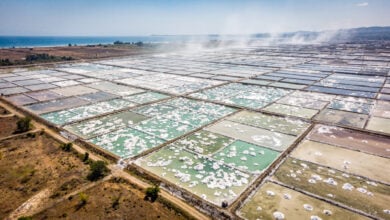 Salt evaporation ponds under intense sun, Cirebon regency, West Java, Indonesia