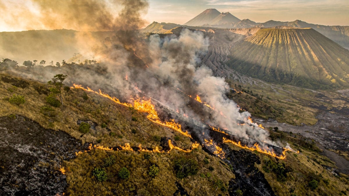 Wildfire burning across volcanic savanna on steep mountainside, Mount Bromo, East Java