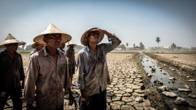 Indonesian farmers in dried rice paddy with empty irrigation canal, drought conditions, harsh sunlight